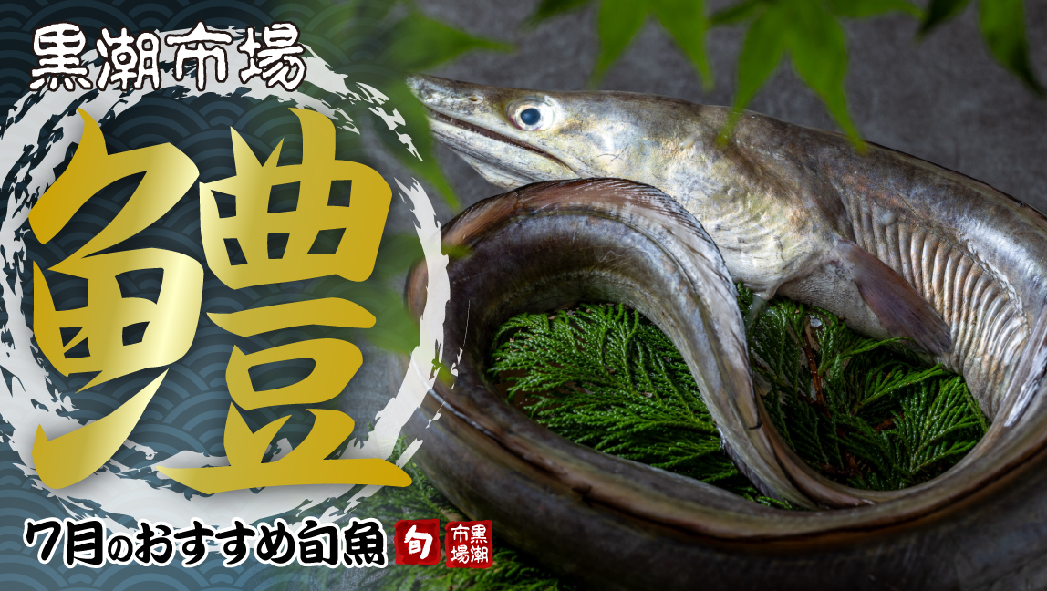 黒潮市場 旬の魚 ハモ